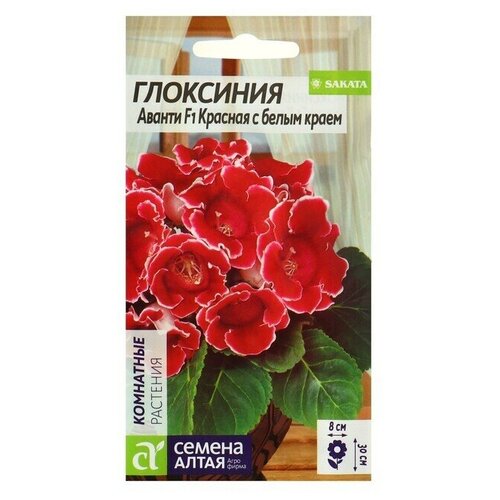Семена комнатных цветов Глоксиния 'Аванти' Красная с белым краем, Мн, цп, 8 шт.