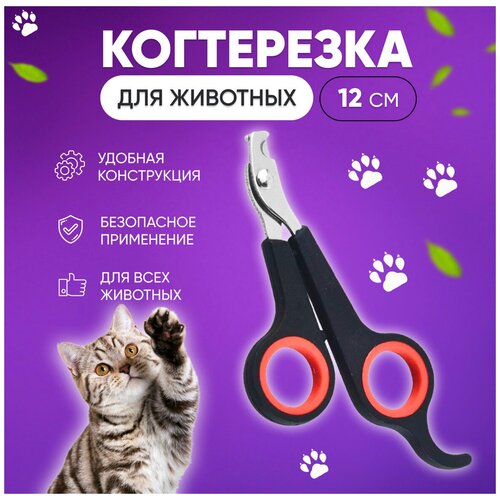Когтерез-ножницы для животных, когтерез для груминга, ножницы для кошек и собак