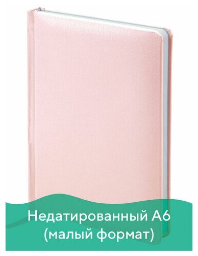 Комплект 2 шт, Ежедневник недатированный малый формат А6 (100x150 мм) BRAUBERG "Profile", балакрон, 136 л., розовый, 111693