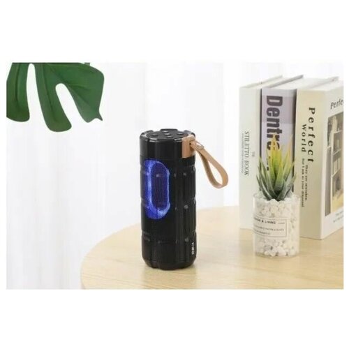 Портативная колонка Bluetooth TG-285 чёрная 121000₽
