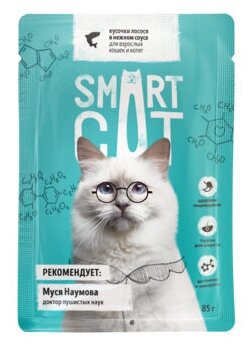 Smart Cat паучи Паучи для взрослых кошек и котят кусочки лосося в нежном соусе, 0,085 кг (2 шт)