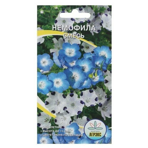 Семена Цветов однолетние Немофила, 0,1 г 6 упаковок немофила голубая семена цветы