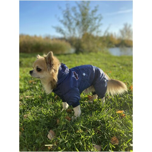 Куртка с капюшоном для собак / комфортная и мягкая одежда для мелких и средних пород Цвет: Синий, Размер: S