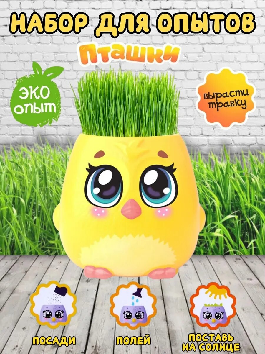 Детский набор для опытов от Эврики" "Пташки", для выращивания растений, развивающий