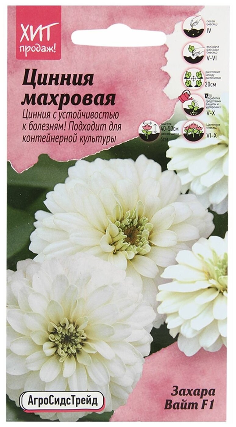 Цинния Махровая Захара Вайт F1 5 шт АСТ / семена однолетних цветов для сада