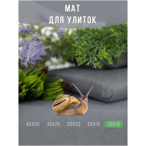 Мат, коврик, подстилка для улиток / Матрасик мягкий для декоративных улиток ахатин 20х10 см