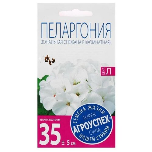 Семена цветов Пеларгония Снежана,4 шт 2 упаковки