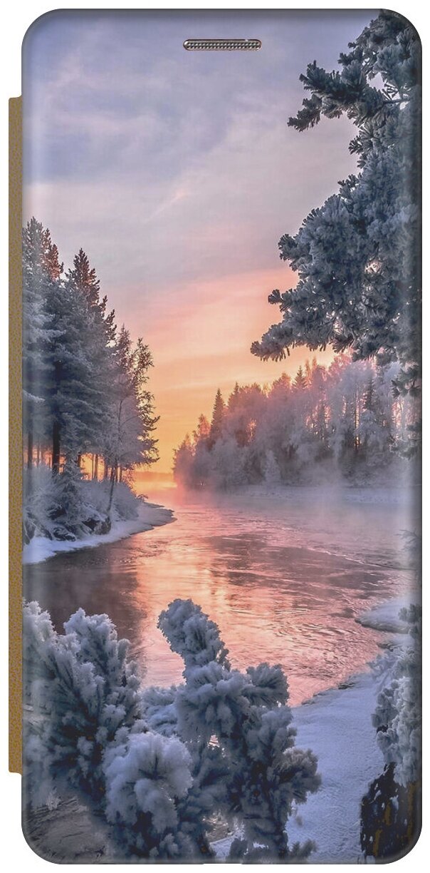 Чехол-книжка Река в заснеженном лесу на Apple iPhone Xs / X / Эпл Айфон Икс / Икс Эс золотой