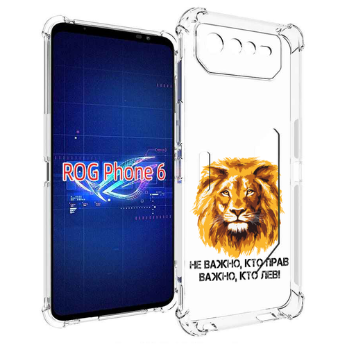 Чехол MyPads мудрый лев для Asus ROG Phone 6 задняя-панель-накладка-бампер чехол mypads лев для asus rog phone 6 задняя панель накладка бампер