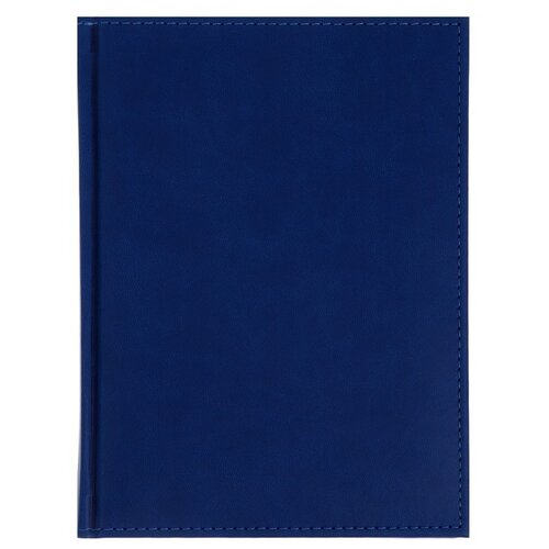 Ежедневник Calligrata Вивелла 76090 датированный на 2024 год, искусственная кожа, А5, 168 листов, синий