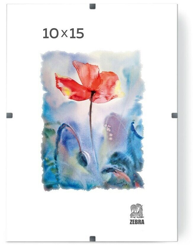 фото Фоторамка Зебра клип 10х15