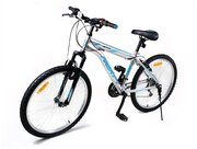 Велосипед горный NEXTbike N250 24"