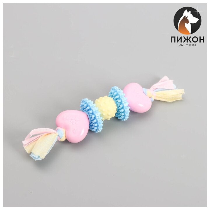 Игрушка жевательная Пижон Premium на верёвке, 5 элементов, термопластичная резина, микс