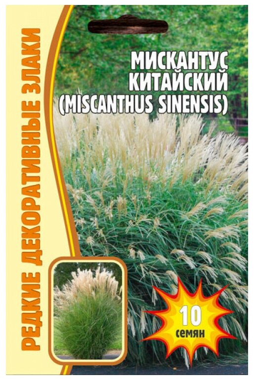 Семена Мискантуса Китайского (Miscanthus Chinensis) (0.01 г)