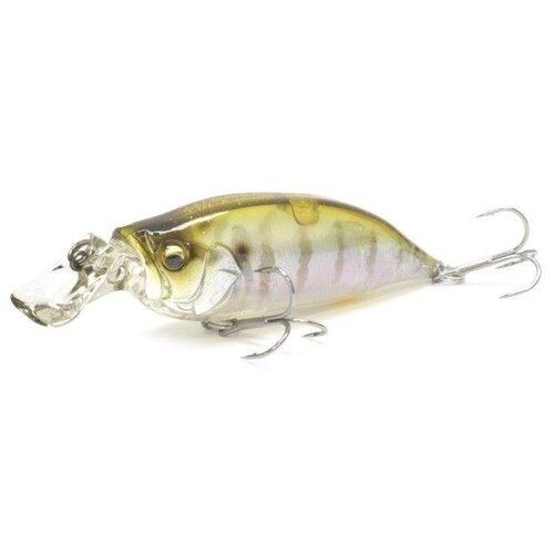 фото Воблер для рыбалки megabass ixi shad type-r / kasumi shirauo - мегабасс