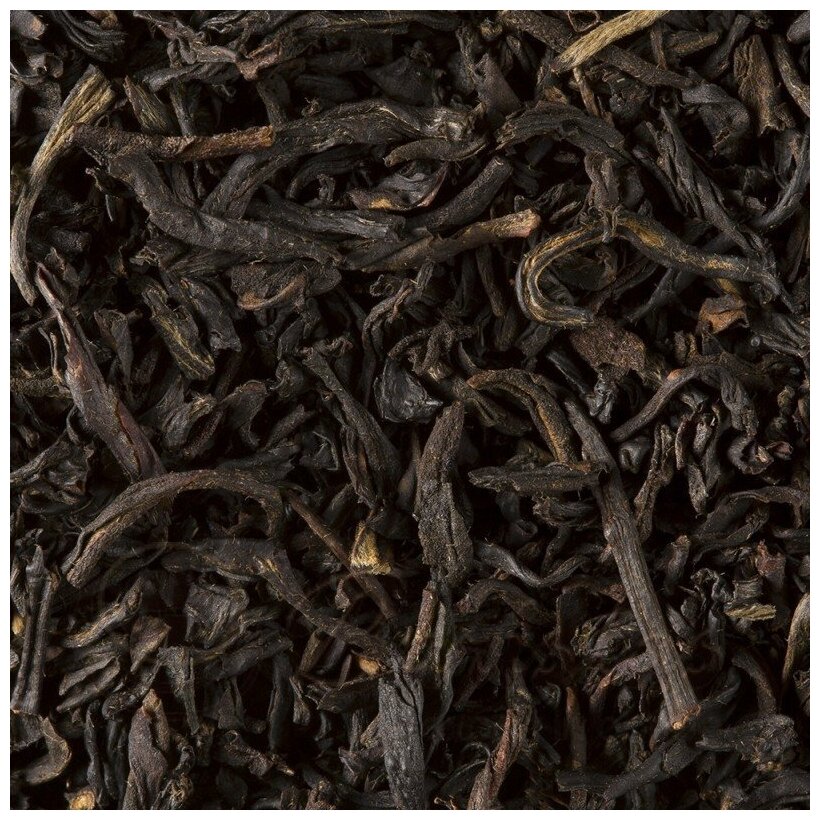Dammann N496 Smokey Lapsang черный чай жб 100 г - фотография № 2