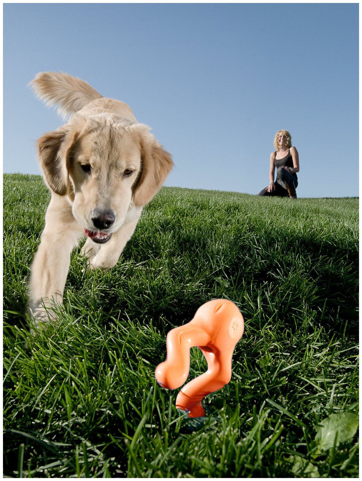 West Paw Zogoflex игрушка для собак Tizzi L для лакомств 16,5 см оранжевая - фотография № 8