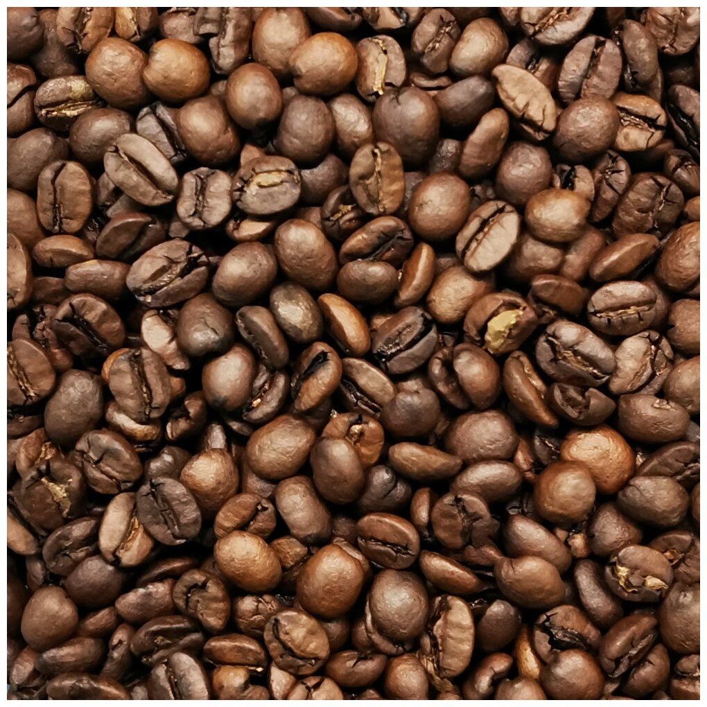 Кофе в зернах VNC "Можиана", 1000 г, Бразилия, свежая обжарка, арабика, (Моджиана, Mogiana)