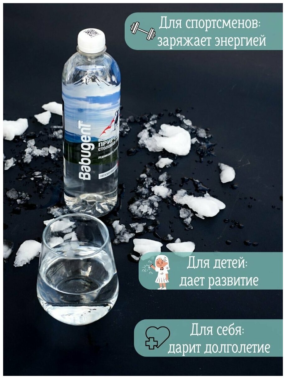 Вода природная минеральная питьевая BabugenT , негазированная. Пластик, 12 шт. по 0,65 л - фотография № 7
