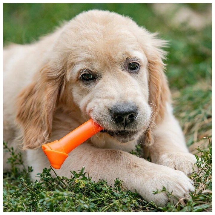 Игрушка пищащая "Кость-лакомство" для собак, 13 см, оранжевая 7704978 - фотография № 7
