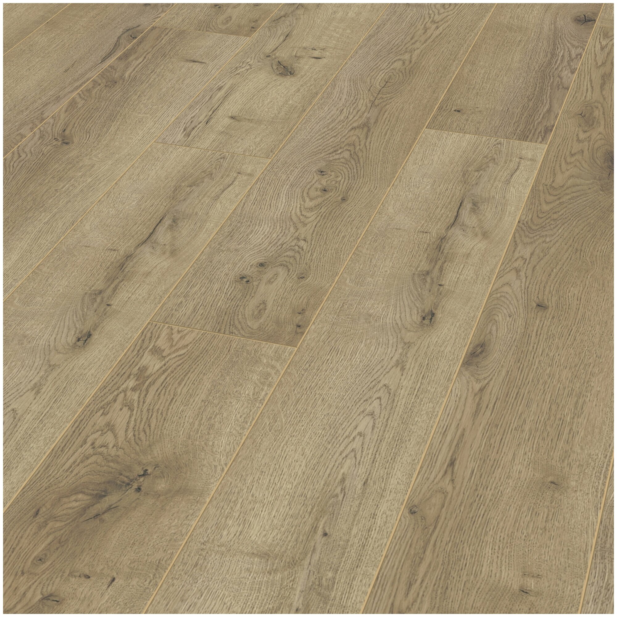 фото Ламинат 10 мм 33 класс Kronotex Amazone Дуб неброский D 3668 A