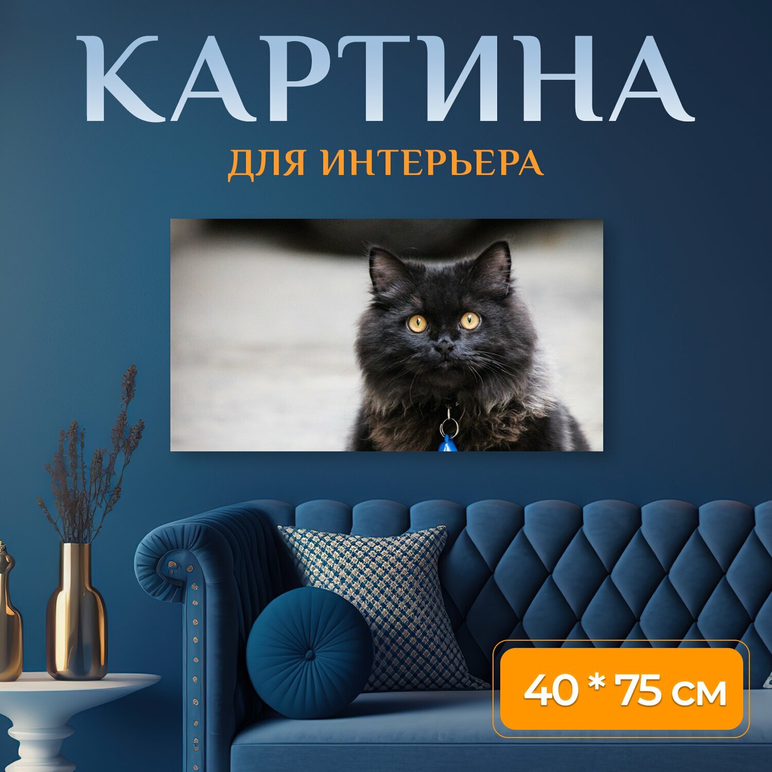 Картина на холсте "Персидский котенок, кошка, персидский" на подрамнике 75х40 см. для интерьера