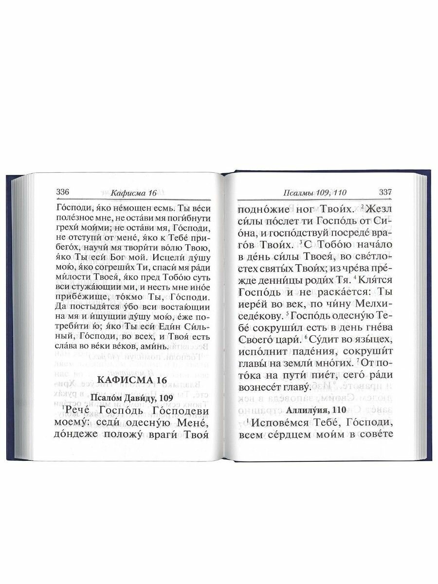Книга Псалтирь с молитвами о живых и усопших, с указанием чтений на всякую потребу по н... - фото №3