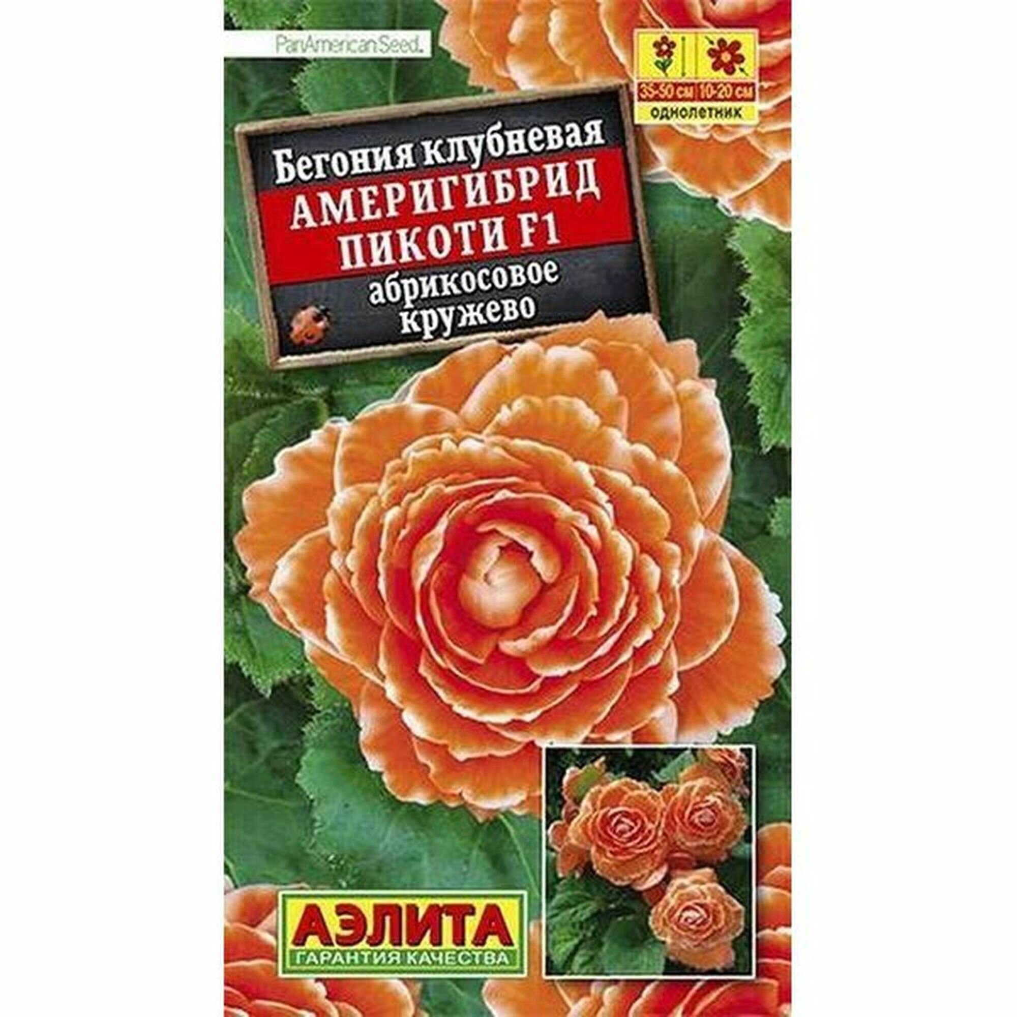 Семена Бегония Америгибрид Пикоти F1 абрико. кружево однолетник Аэлита - PanAmerica 1 пачка - 5 семян