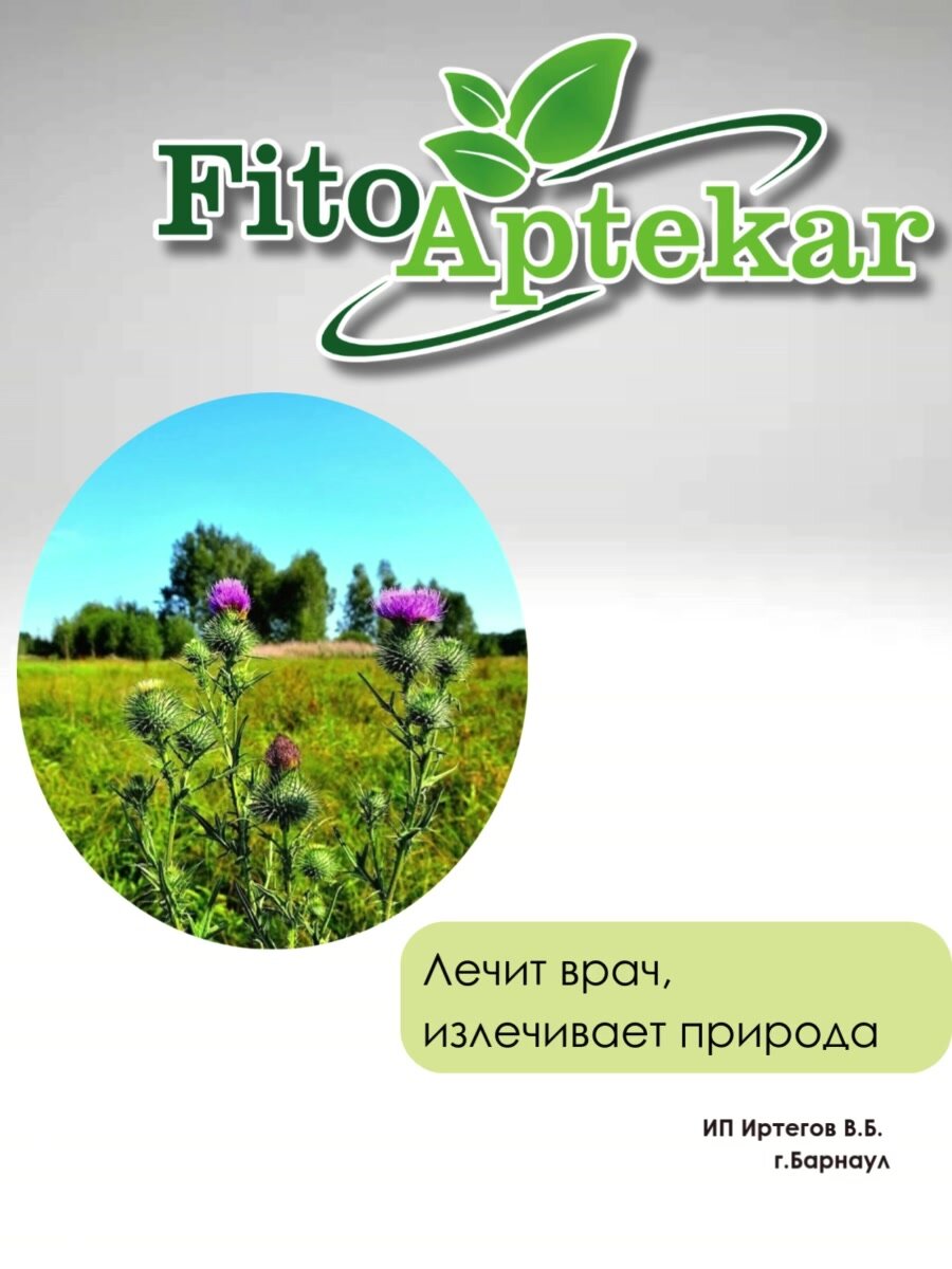 Расторопша семена Фито-Аптекарь, при заболеваниях печени, гастрите, запорах, ожирении, 1 кг — фото 1