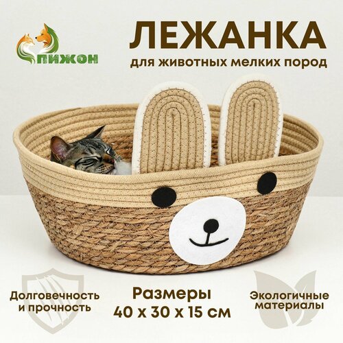 Экологичный лежак "Мишка" для животных (хлопок+рогоз)