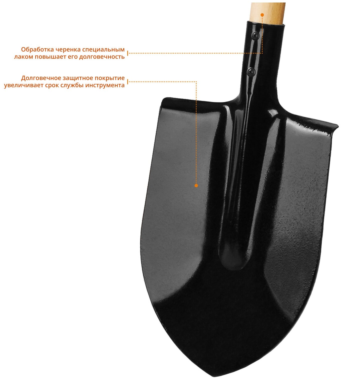 Лопата штыковая, деревянный черенок, GRINDA - фотография № 4