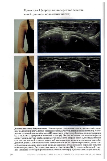 Книга Учебник ультразвуковых исследований костно-мышечной системы - фото №4