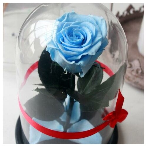 Стабилизированная роза в колбе Premium VIP 7-8 см, голубая