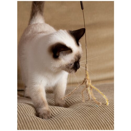 Игрушка для кошек Japan Premium Pet дразнилка золотистый колосок с блеском из безопасного натурального льна , для привлечения внимания кошки