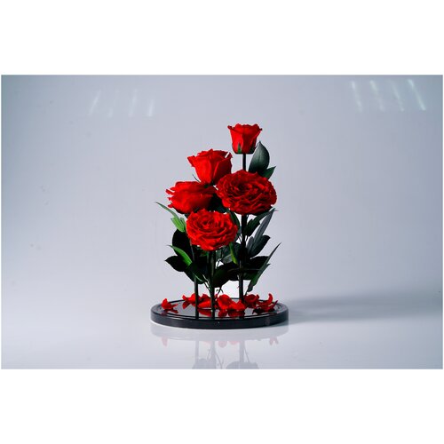 Композиция в колбе 