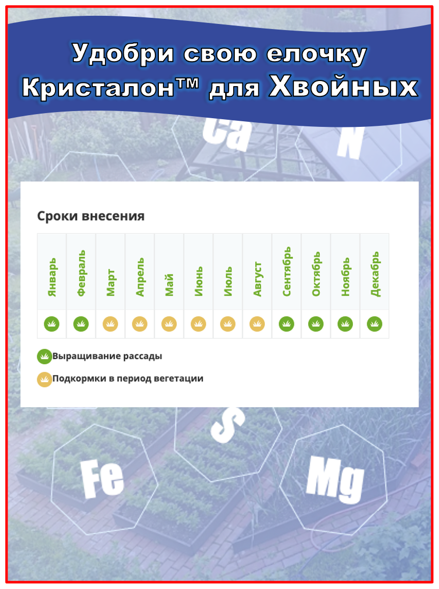 Удобрение FERTIKA (Фертика) Kristalon для хвойных, 0.5 л - фотография № 16