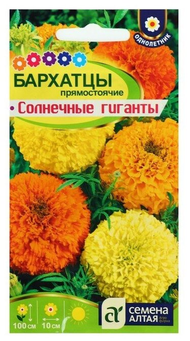 Семена цветов Бархатцы "Солнечные Гиганты", О, 0,3 г.