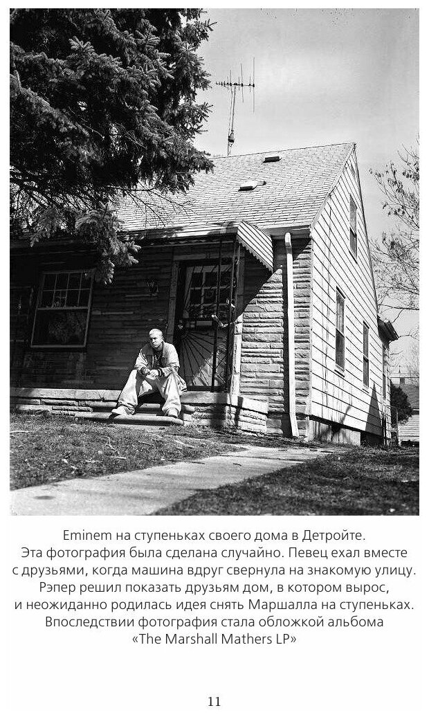 Eminem. На пределе возможного (Бута Елизавета Михайловна) - фото №2