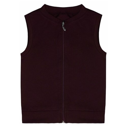 фото Школьный бордовый жилет для мальчика на молнии 79054-мш21 38/152 радуга дети