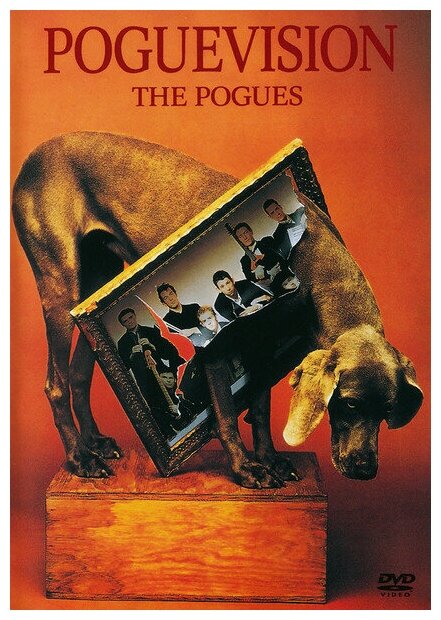 Pogues-Poguevision 2006 DVD import (ДВД Видео 1шт)