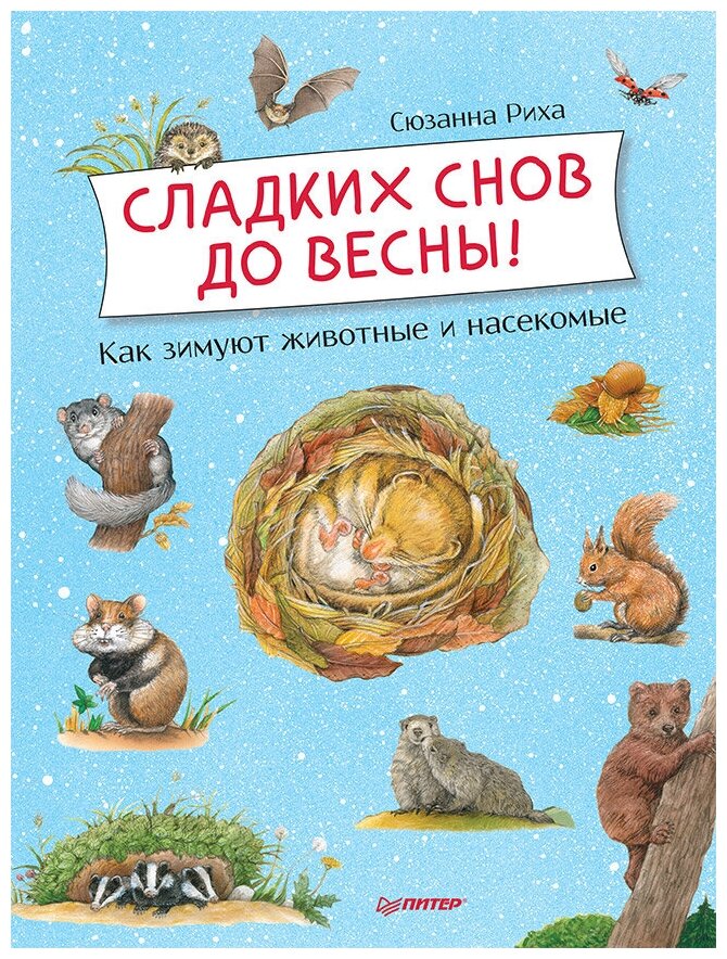 Сладких снов до весны! Как зимуют животные и насекомые