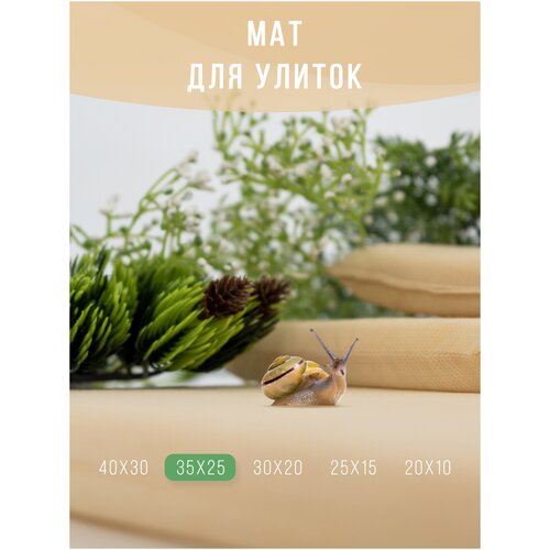 Мат, коврик, подстилка для улиток / Матрасик мягкий для декоративных улиток ахатин 35х25 см