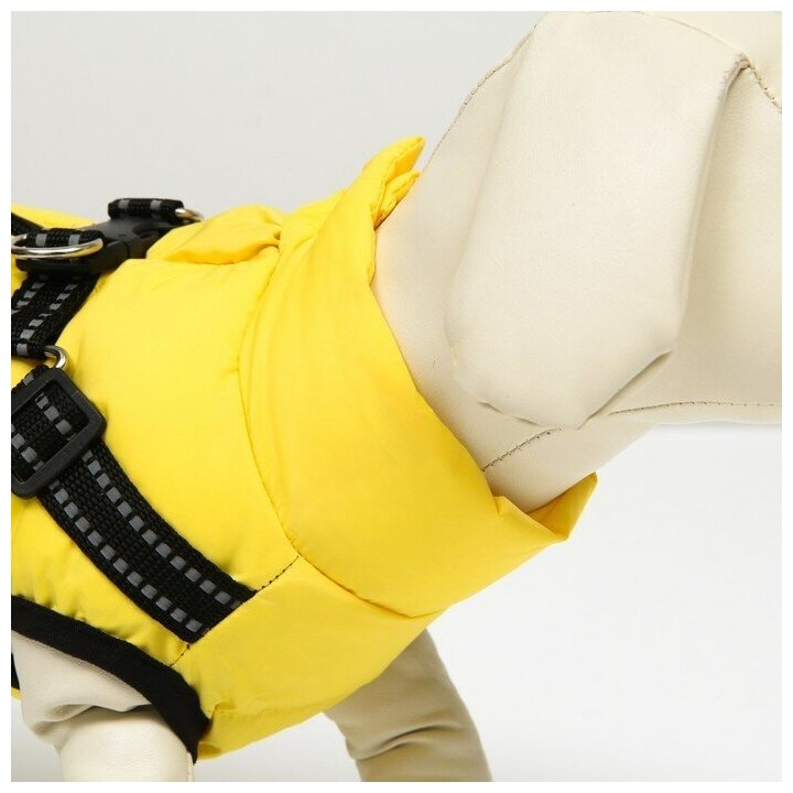 Куртка для собаксо шлейкой, размер 14 (ДС 32 см, ОГ 42 см, ОШ 31 см), лимонная - фотография № 19