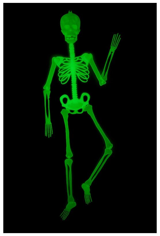 Декорация "Скелет" из пластика, светится в темноте, 150 см. (Цв: Белый )