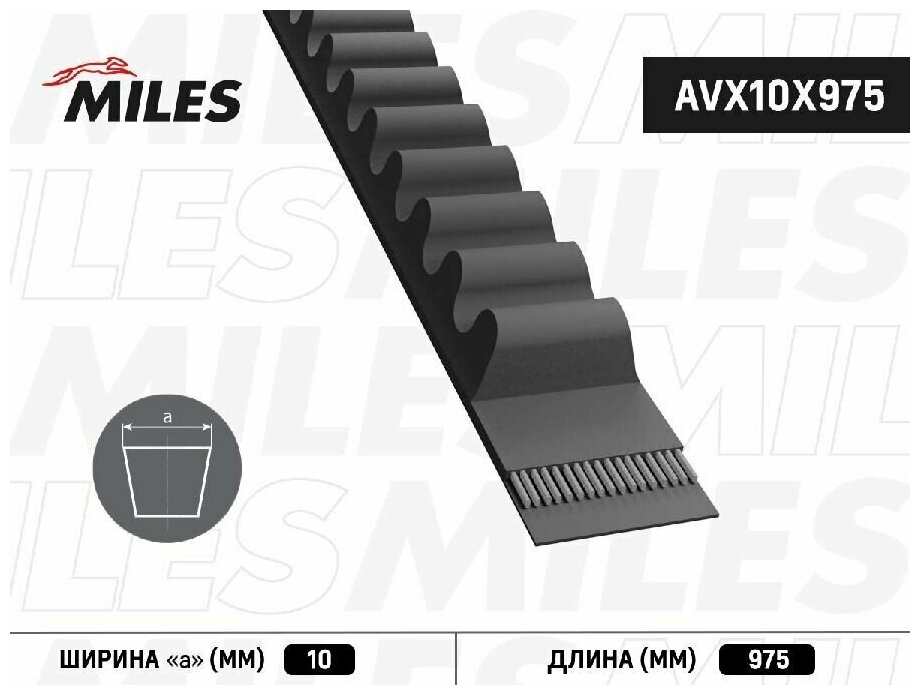 Ремень Клиновой Avx10x975