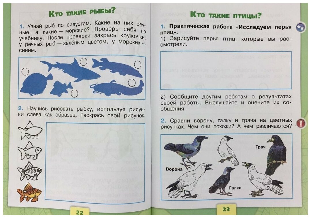 Плешаков А.А. "Школа России. Окружающий мир. 1 класс. Рабочая тетрадь. Часть 1" офсетная - фотография № 5