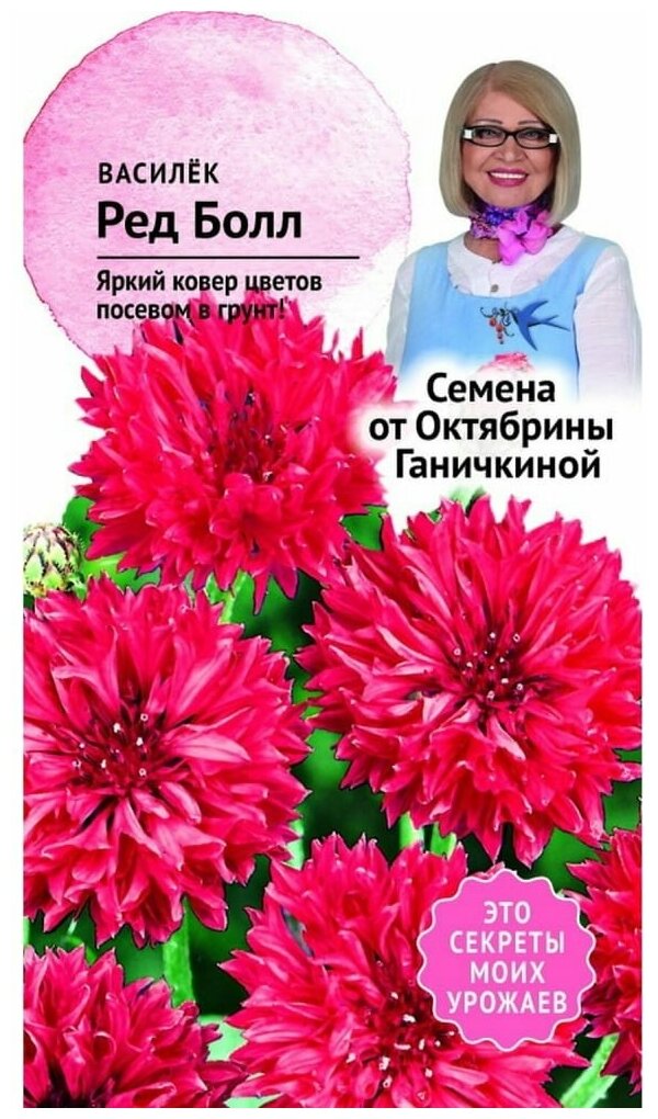 Василек Детская грядка - фото №5