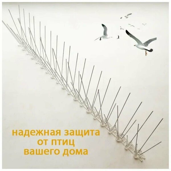 Как избавиться от голубей на балконе