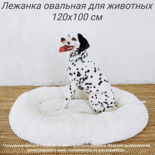 Пушистая овальная лежанка 120x100 см +-5 см для крупных собак, цвет белый арт. PNL120x100
