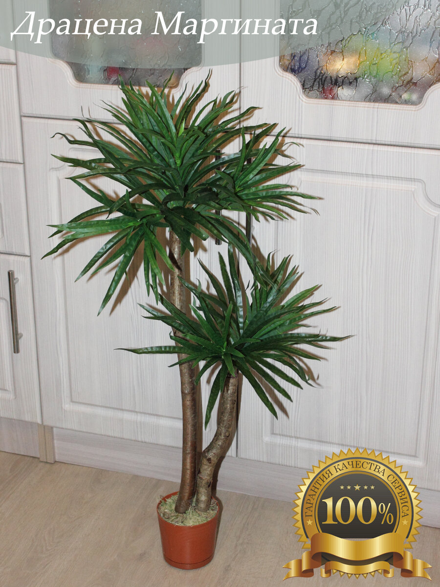 Искусственное растение Holodilova Драцена реалистичный вид длина 100 см зеленое в кашпо